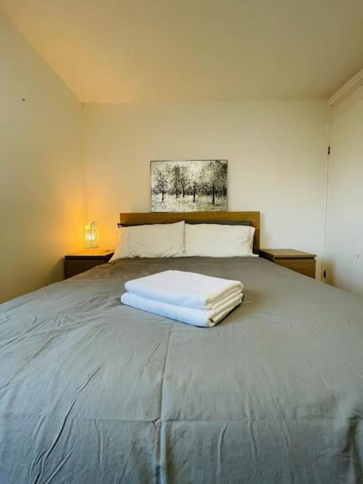 Lovely Duplex Apartment In Edinburgh City Centre Ngoại thất bức ảnh